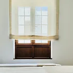 Canaryislandshost I White * Тегисе