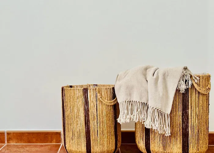 Canaryislandshost I White